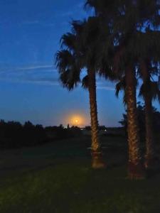 two palm trees in a field with the sunset in the background at Casa de campo CLARA LUNA Sierra y Mar in Punta Ballena