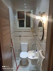 a small bathroom with a toilet and a sink at شقة مفروش ٣ غرف و٢ حمام سرايات المعادى in Cairo