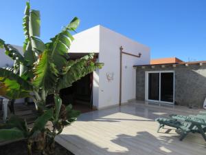 un edificio con un patio con una planta en Casa del Sol, en Corralejo