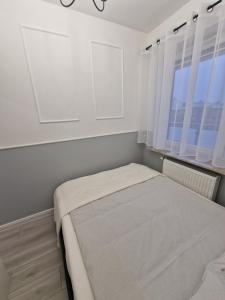 um quarto com uma cama com armários brancos e uma janela em 68 - Apartamenty Siedlce - Nowy apartament w centrum przy ul. 3 Maja 51a em Siedlce