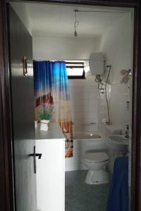 Gdinj的住宿－Seaside secluded apartments Cove Virak, Hvar - 6969，一间带卫生间和淋浴帘的浴室