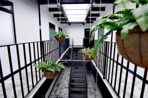 einen Flur mit Topfpflanzen und Treppen in einem Gebäude in der Unterkunft Hotel Casa Malibú in Medellín