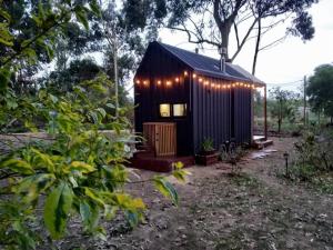 a small black cabin with lights on it at Viví la experiencia de hospedarte en una tiny in La Pedrera