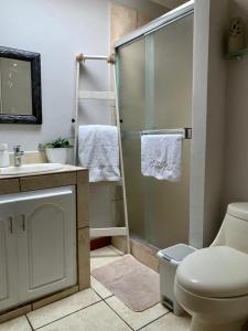 a bathroom with a shower and a toilet and a sink at Room near Airport/ Cerca del Aeropuerto in Santiago Este