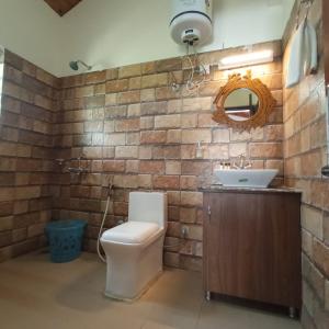 ein Badezimmer mit einem WC, einem Waschbecken und einem Spiegel in der Unterkunft Raahi Cottages Mukteshwar in Mukteswar