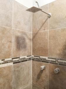 La salle de bains est pourvue d'une douche et de carrelage brun. dans l'établissement Hotel Blue Turtle, à Bacalar