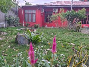 Um jardim no exterior de Casa Minha Backpackers Hostel