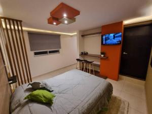 a bedroom with a bed and a flat screen tv at Departamentos fresno! Tu mejor opción in Toluca