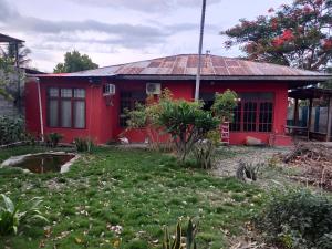 Um jardim no exterior de Casa Minha Backpackers Hostel