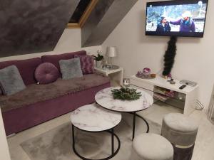 カルパチにあるEl-Jar 1 Lawendowyのリビングルーム(紫色のソファ、テレビ付)