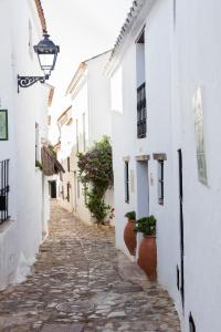 弗龍特拉堡的住宿－Casas Rurales Tugasa Castillo de Castellar，一条有白色建筑和盆栽植物的小巷