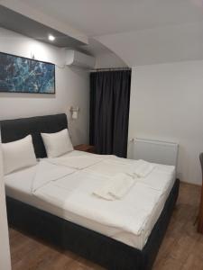 Postel nebo postele na pokoji v ubytování Prenoćište Srebrno Jezero + 37 fotografií