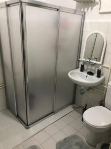 ein Bad mit einer Dusche, einem WC und einem Waschbecken in der Unterkunft Private Room in Istanbul #8 in Istanbul