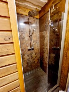 y baño con ducha y puerta de cristal. en Atpūtas māja Kaktiņi Rīga, en Ikšķile