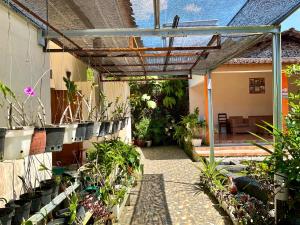 an outdoor patio with plants and a pergola at Villa Sakana - Escape to Paradise in Balong