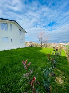Zahrada ubytování Villa 22