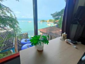 a potted plant sitting on a table in front of a window at I-Talay Zone Sea in Ko Samed