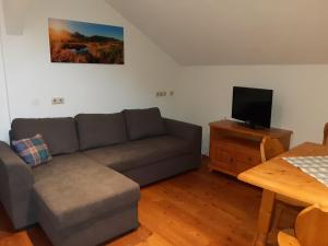ein Wohnzimmer mit einem Sofa und einem TV in der Unterkunft Bauernhof Ablass in Göstling an der Ybbs