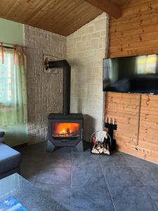 a fireplace in a living room with a stove at Holzhaus Harz in Schielo