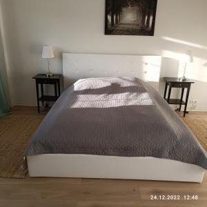 Posteľ alebo postele v izbe v ubytovaní Apartament Długa 35
