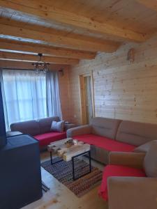 ein Wohnzimmer mit einem Sofa und einem TV in der Unterkunft Anna's Mountain House in Kolašin