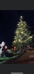 uma grande árvore de Natal é iluminada à noite em Las Cavernas Del Bisonte em Santillana del Mar