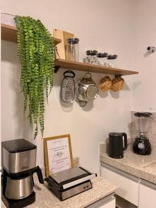 una cucina con macchinetta del caffè e una pianta su un bancone di Recanto da Natureza & SPA a Penha
