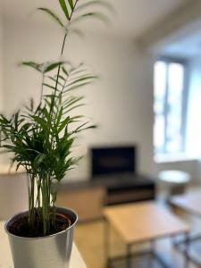a potted plant sitting on a table in a living room at Gîtes de Cohuta in Montfort-sur-Meu