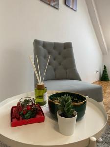 Khu vực ghế ngồi tại Vlasic Apartmani CENTAR