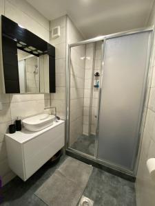 bagno con doccia, lavandino e specchio di Vlasic Apartmani CENTAR a Vršac Altre 37 foto