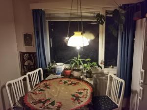 einen Esstisch mit Topfpflanzen darauf in der Unterkunft Old Cozy Wood House in Rovaniemi