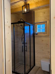 コラシンにあるPlaninska kuca Grujicのバスルーム(ガラス張りのシャワー、トイレ付)
