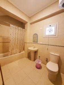La salle de bains est pourvue de toilettes et d'un lavabo. dans l'établissement lucky house Dahab, à Dahab