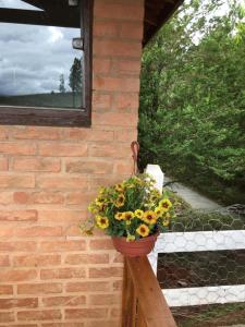 um vaso de flores num suporte de madeira ao lado de uma parede de tijolos em Estância Liberdade em Santo Antônio do Pinhal