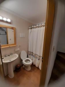 a bathroom with a sink and a toilet and a mirror at Casa de Huéspedes Silvana in San Martín de los Andes