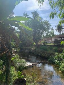 una corriente de agua en un campo con árboles en Apartamentos com cachoeira no quintal, en Ilhabela