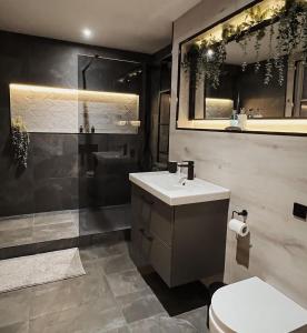uma casa de banho com um lavatório, um WC e um chuveiro em NE1 Luxury City Centre Apartment em Newcastle upon Tyne