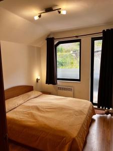 1 dormitorio con cama y ventana grande en Christina Apartment in Laplandia, en Pamporovo