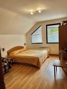 a bedroom with a bed and two windows at Christina Apartment in Laplandia in Pamporovo