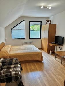 a bedroom with a large bed and two windows at Christina Apartment in Laplandia in Pamporovo +51 photos