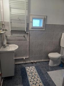 a bathroom with a toilet and a sink and a window at Casa Bucovina Dorna Candrenilor in Ascuţitele +11 photos