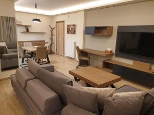 uma sala de estar com um sofá e uma televisão em Olive Deluxe Apartment em Karditsa