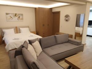 sala de estar con cama y sofá en Olive Deluxe Apartment en Kardítsa