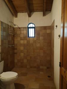 a bathroom with a toilet and a shower with a window at La casa de Buenavista. 