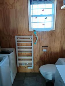 a bathroom with a toilet and a window at Les Aigus in Saint-Pierre