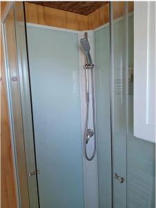y baño con ducha y puerta de cristal. en Les Aigus, en Saint-Pierre