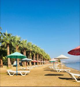 - une rangée de chaises et de parasols sur une plage dans l'établissement Luxury and comfortable villa with a view, à Milas
