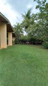 a yard with green grass and palm trees and a house at HOSTEL Recanto do Cajueiro in Maceió