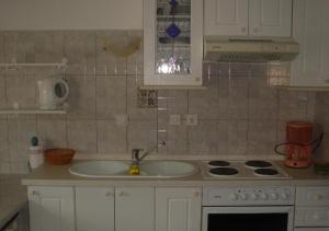 Kuchyňa alebo kuchynka v ubytovaní Apartments Aurora Borik