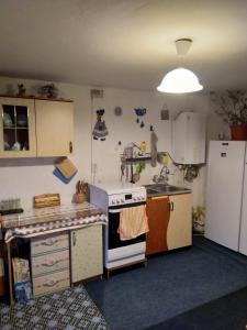 een kleine keuken met een fornuis en een koelkast bij Casa din Vale / House of the Valley in Vulcan
